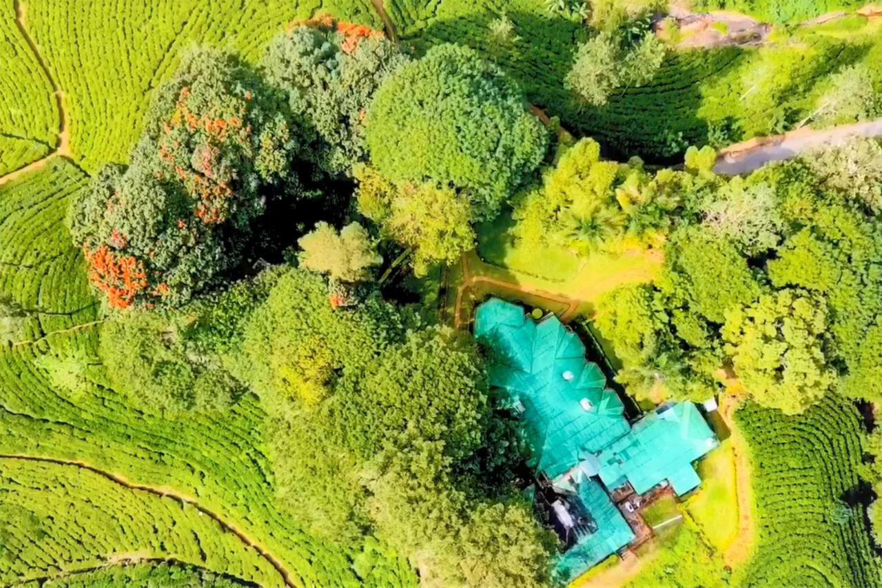 האטון Royal Majesty Bungalow מראה חיצוני תמונה